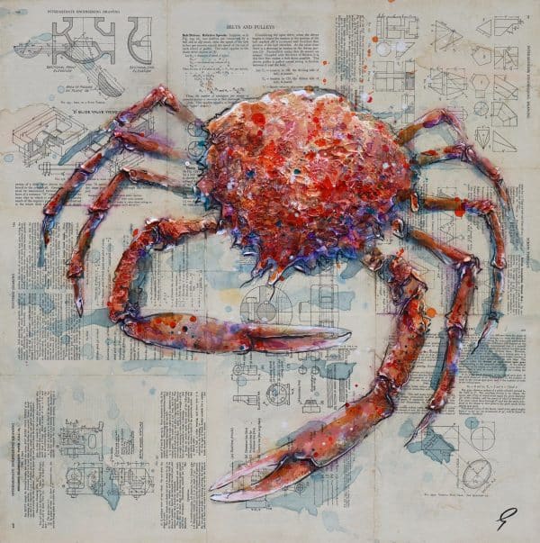 GILES WARD RED SPIDER CRAB