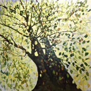 96D09846 7E42 44C6 B733 51FEC455BCAA 4 5005 c