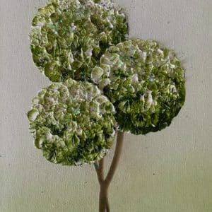 Angelica II