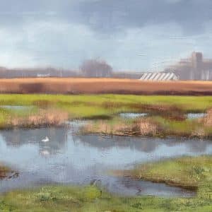 Dawn Flight Stanpit Marsh