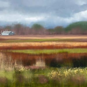 Winter Colours Stanpit Marsh